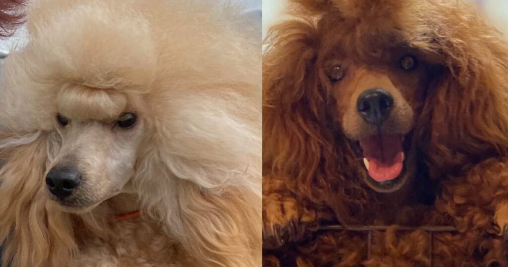 CN マトくん × CN サバンナ